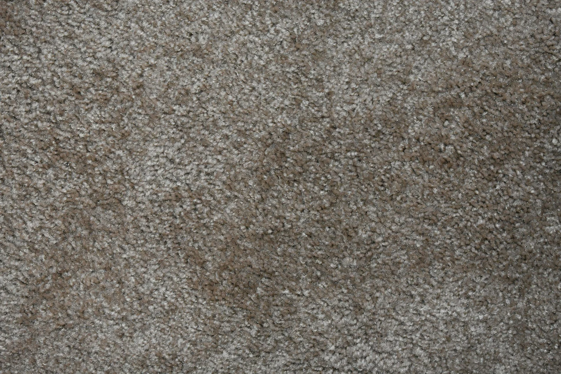 How Wilmington Homes Use Carpet for Sound Control