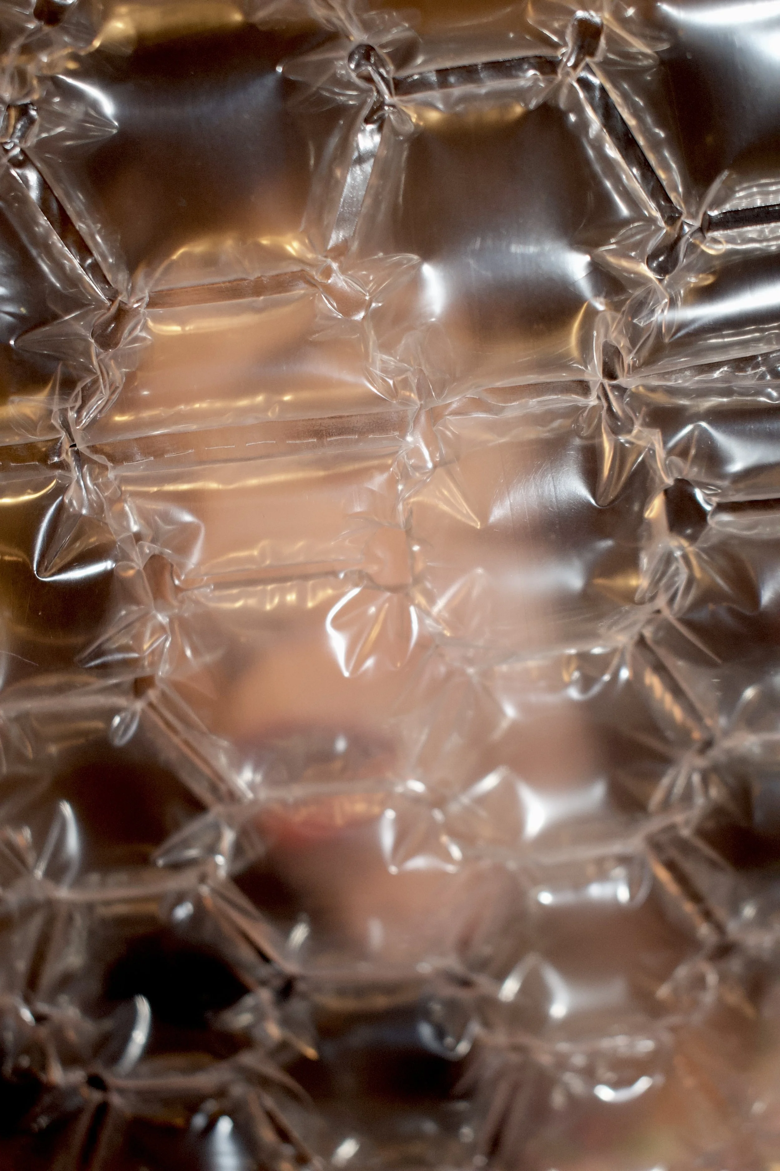 Siobhan Denison 1.jpeg