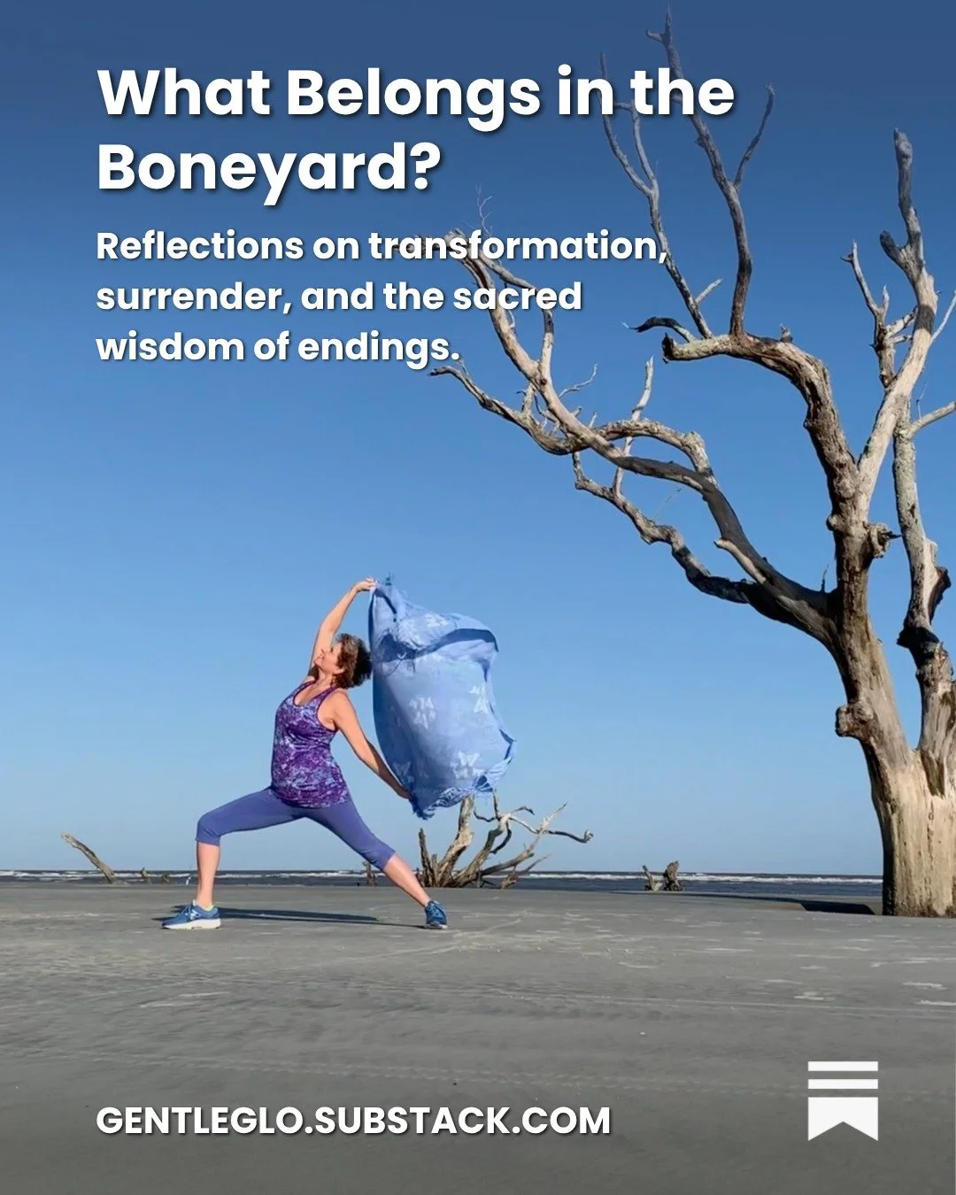 There&rsquo;s a wild, remote beach here in South Carolina where the ocean is reclaiming the woods. Huge trees, roots exposed, lie half-buried in the sand.

Welcome to the &ldquo;Boneyard&rdquo; area of Hunting Island State Park, where sea-strewn trun