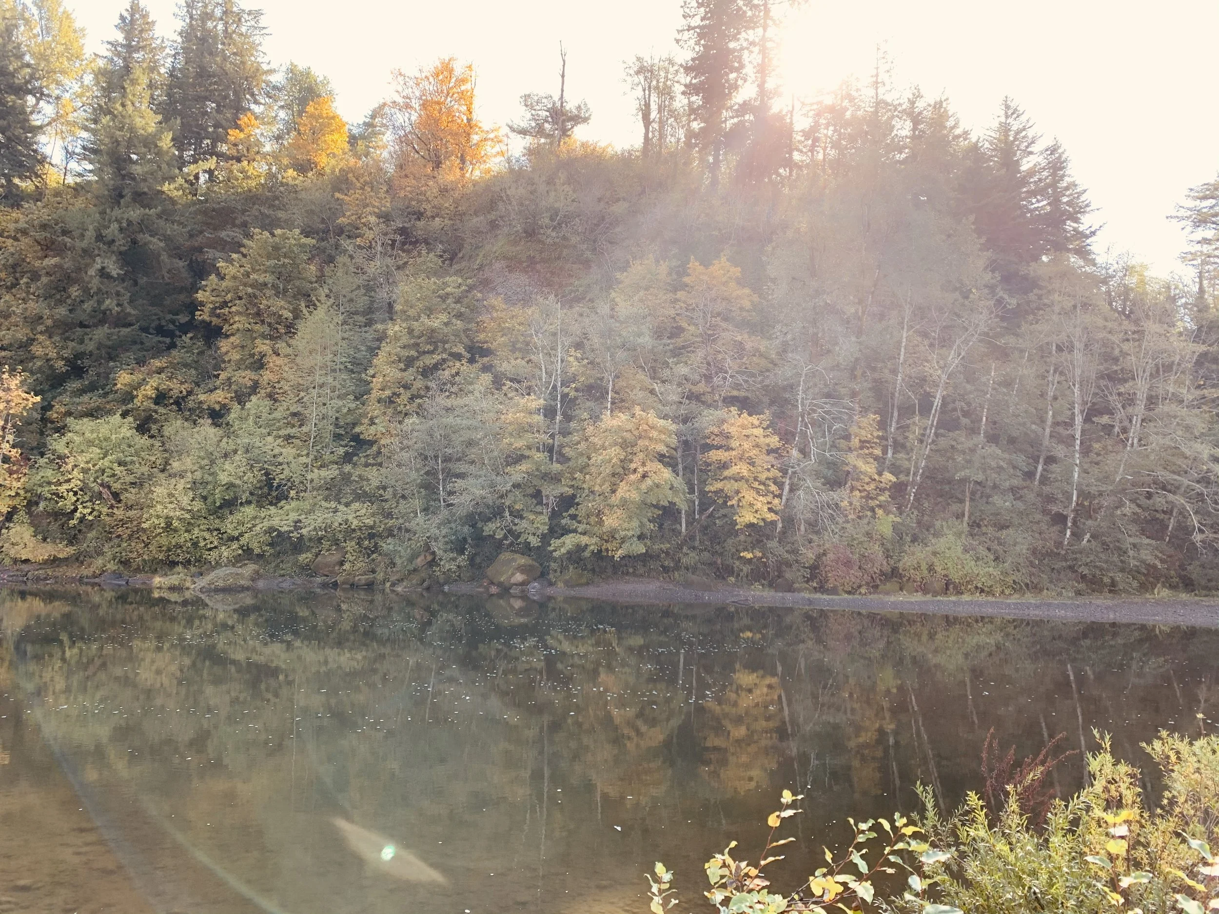 New Pattern Counseling LLC