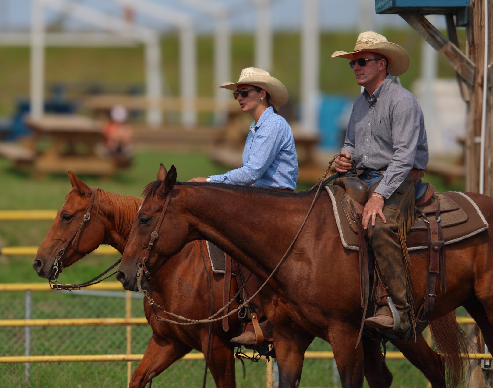 RHC-24-Cowboyteam.jpeg
