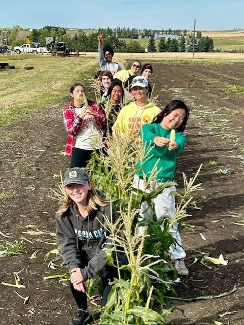 NEWS-Corn-Fun_2026.jpg