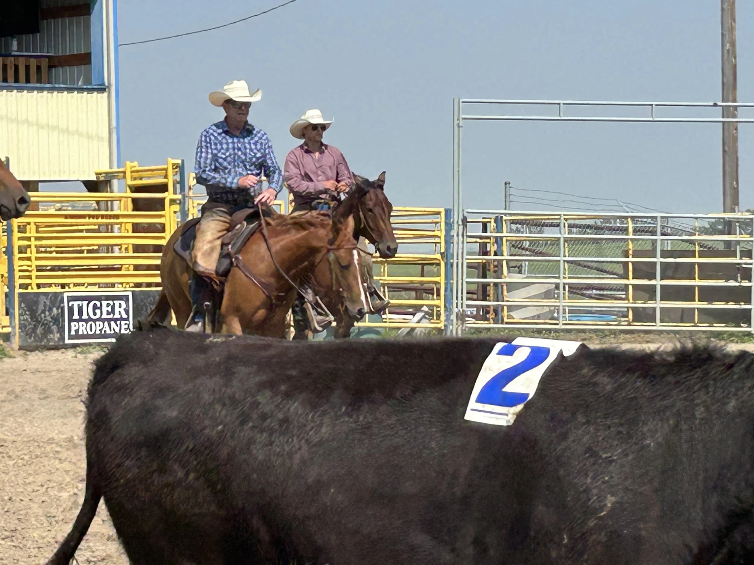 RHC-chutes_2026.jpg