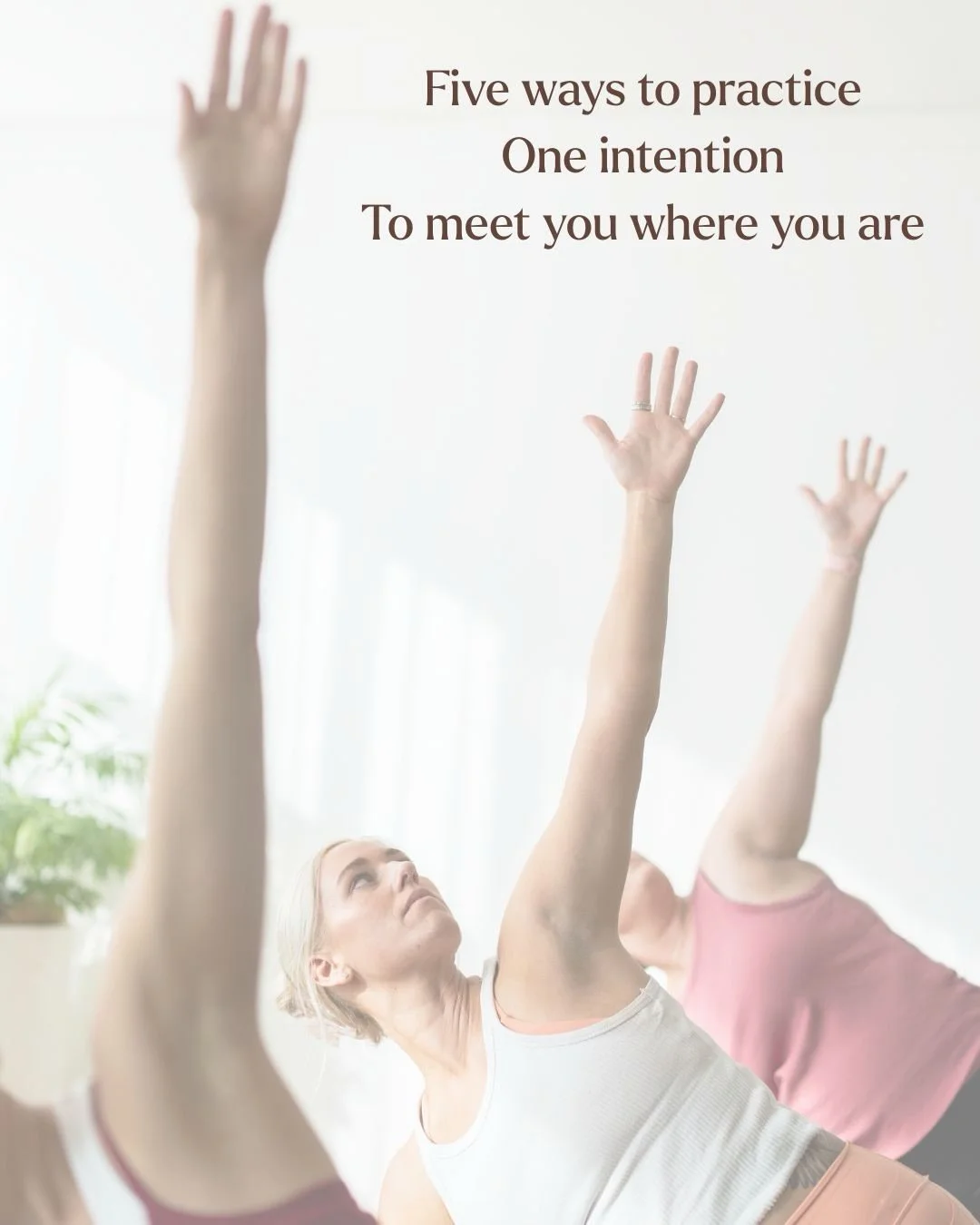 Not every day calls for the same kind of movement ✨

At Ardor, our Yoga classes are designed to meet you exactly where you are. Offering five distinct levels of intensity, from deeply restful Yin and restorative practices&hellip; to energising, stren