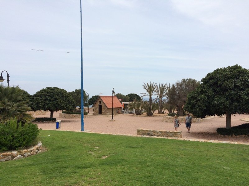 Playground at the park