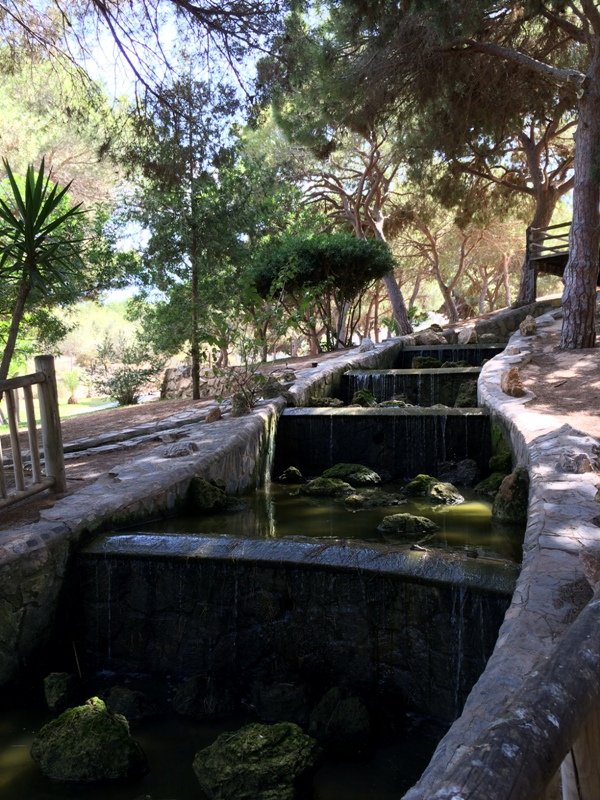 reina-sofia-park-guardamar-12-2.jpg