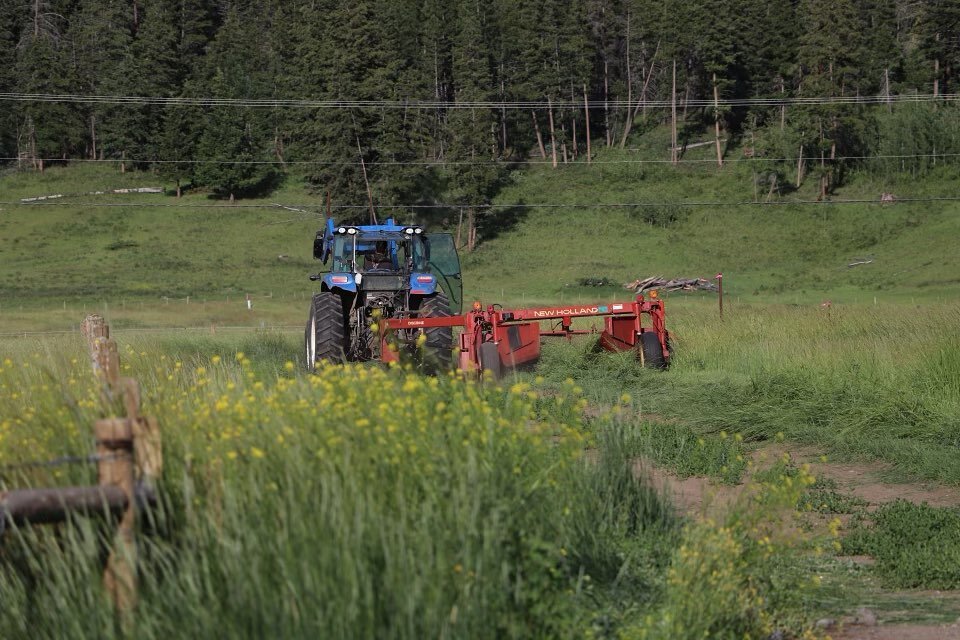 Looking back on warmers days spent mowing the fields