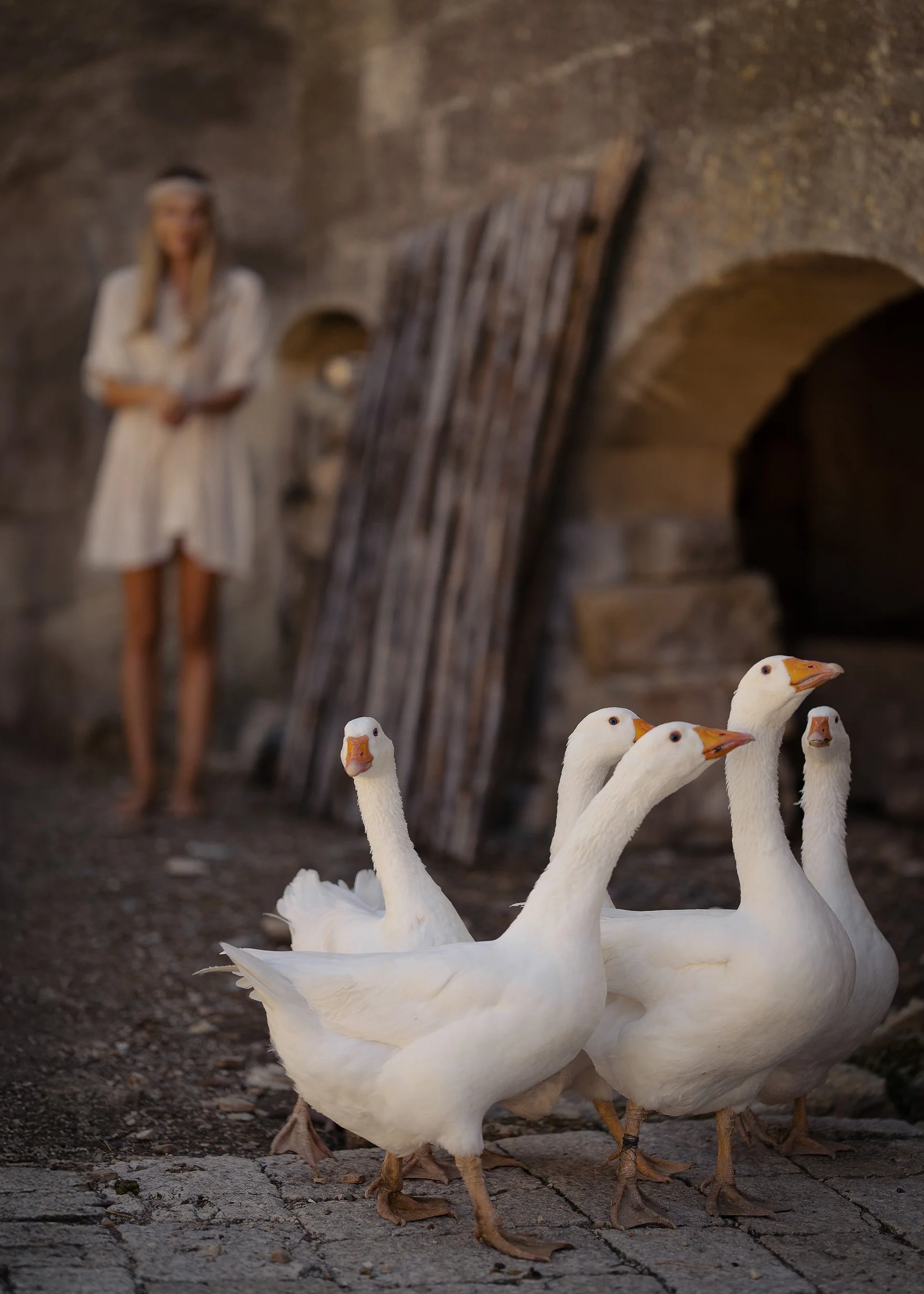 heidi_back_Matera_07_WEB .jpg
