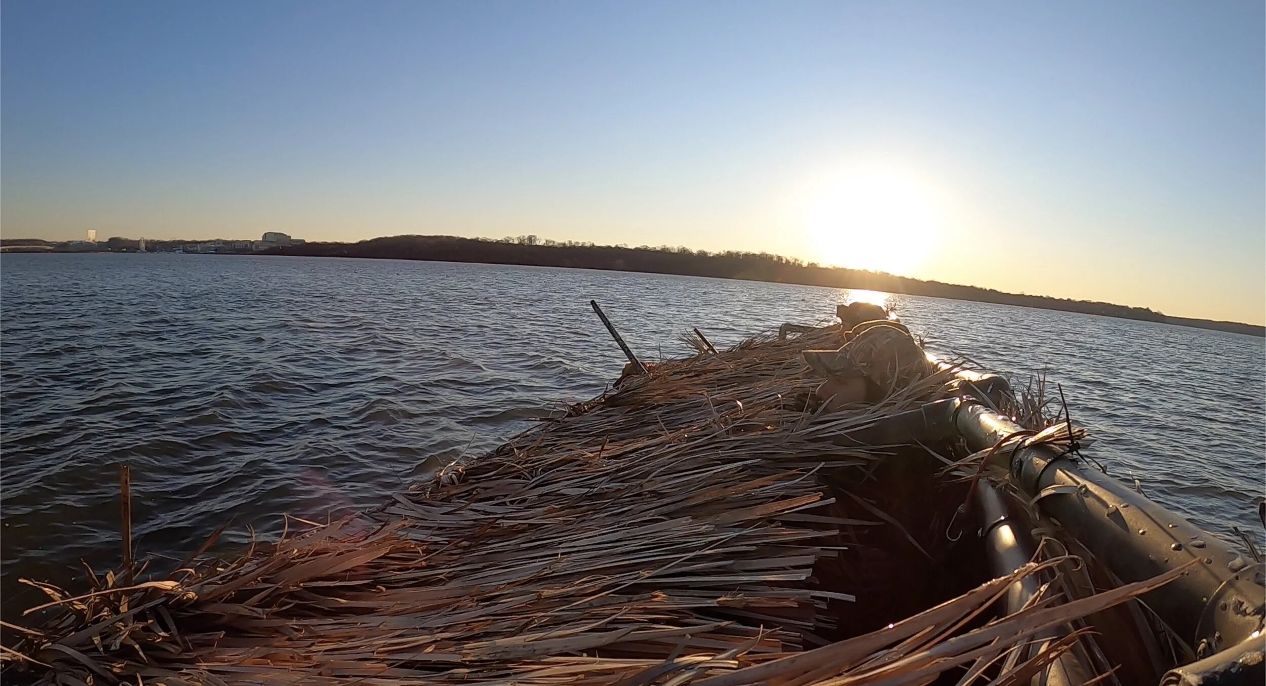 Screen Shot 2021-01-29 at 2.28.06 PM.JPG