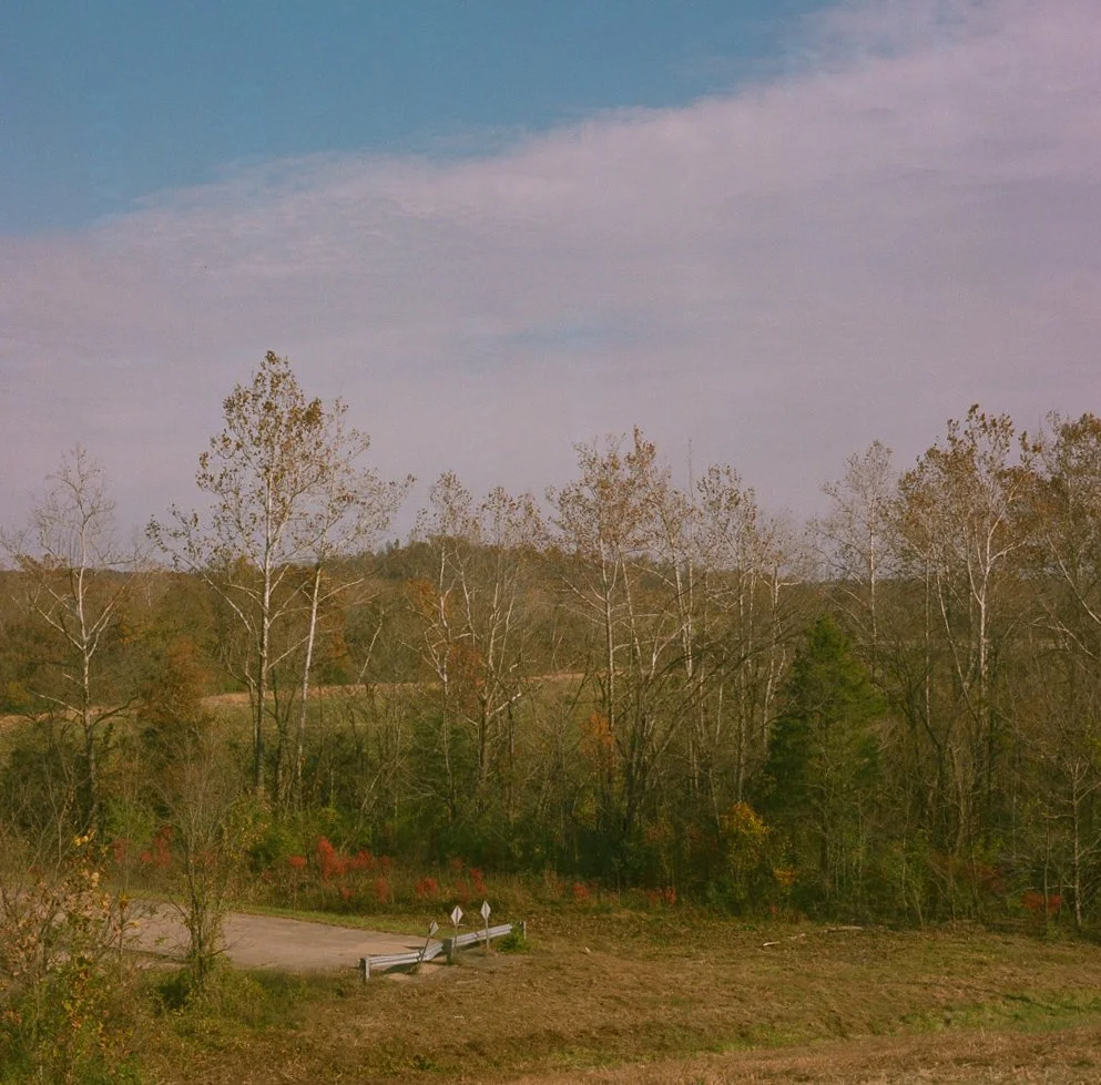 2.Full-Brennan-untitled dead end.jpg