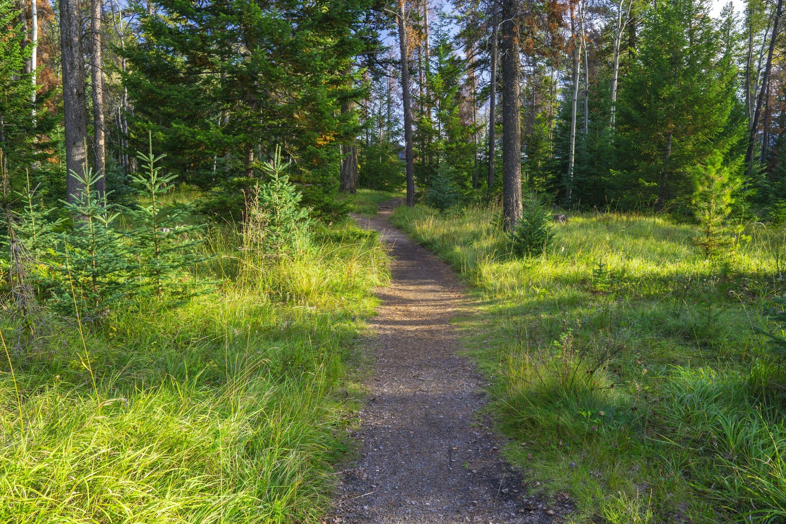 Why Men Experience Sexual Anxiety