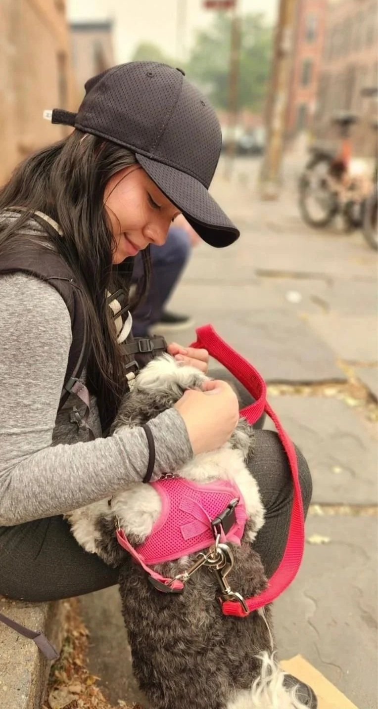 dog walker giving a private walk