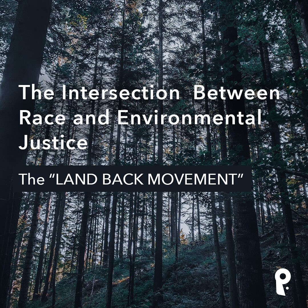 As we watch the climate crisis consume our planet, the role of colonization in the degradation of our environment must be considered. Read more from an indigenous Hawaiian perspective on the LAND BACK MOVEMENT as an integrated approach to racial and 