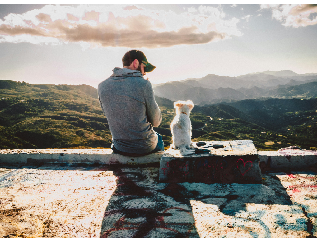 Spotlight: Customer Growth Framework in Action