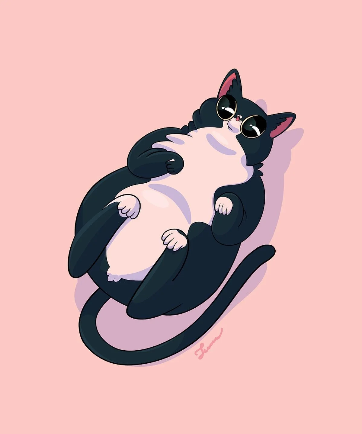 She wore an itsy bitsy, teeny weeny pink bikini. It&rsquo;s Lola! The plump tuxedo kit, a gift for my friend 🖤
.
.
.
#catsofinstagram #catcomic #doodles #gift #tuxedocat