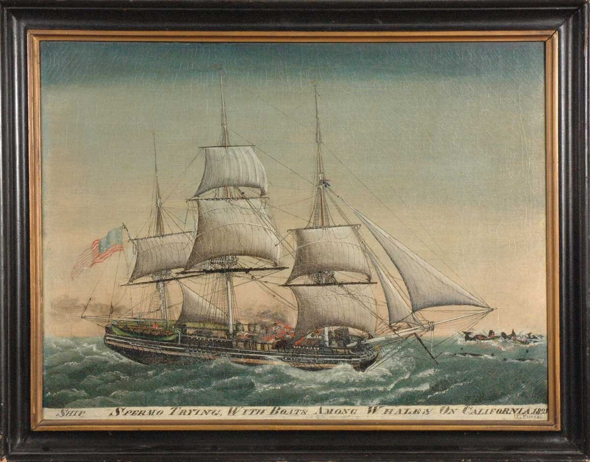 Ship-SpermoTrying-With-Boats.jpg