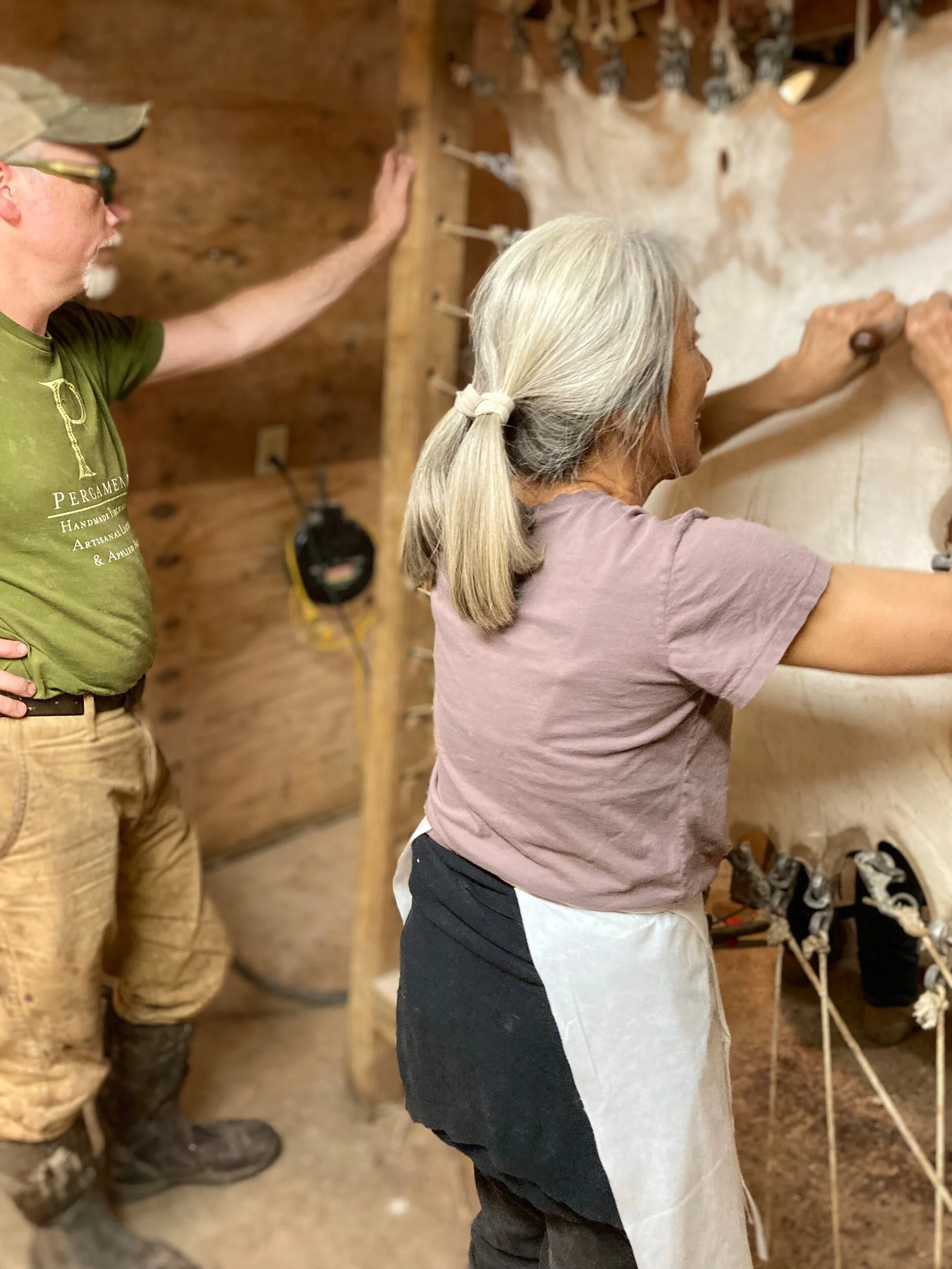 5E6252DE-7C65-4B3A-88E1-B5A1ECEC2988