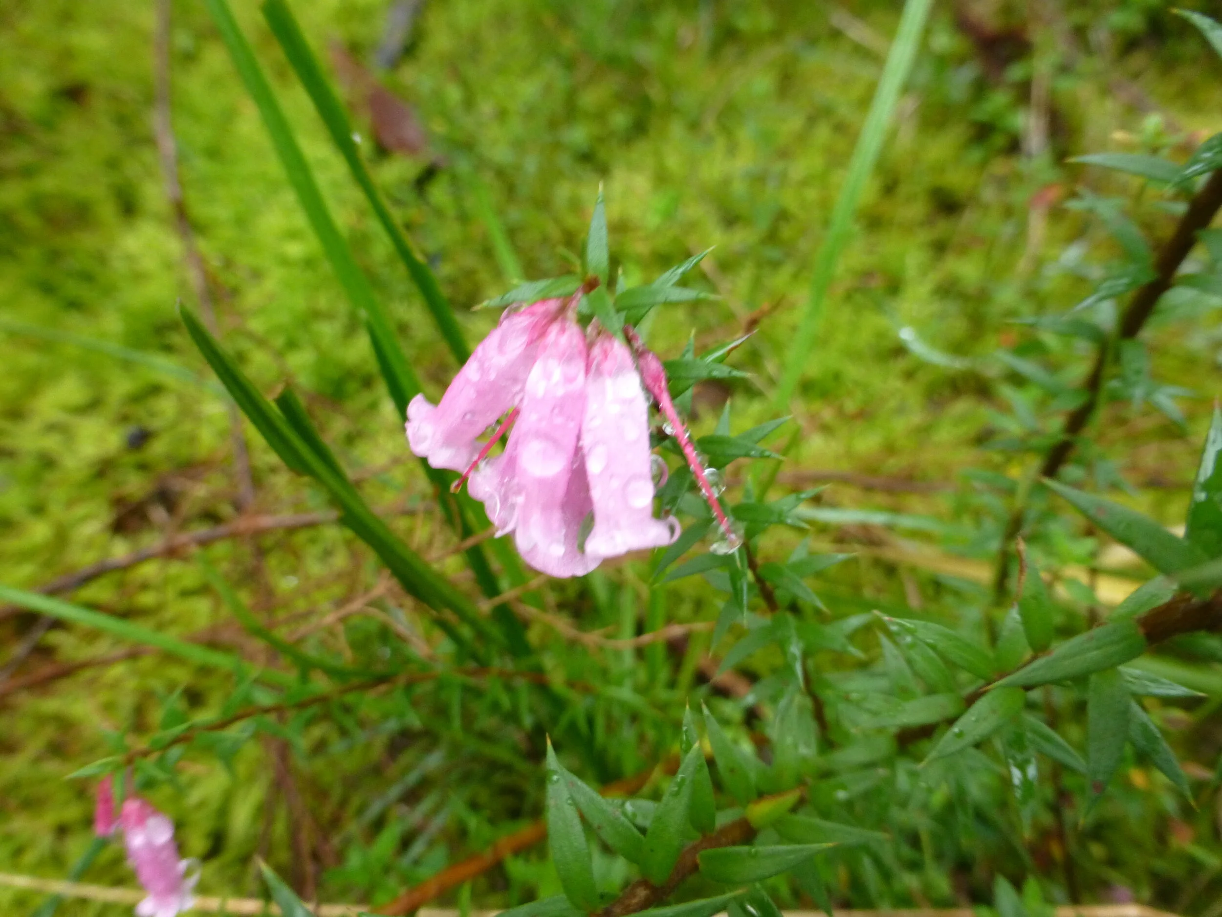 P1110100.JPG