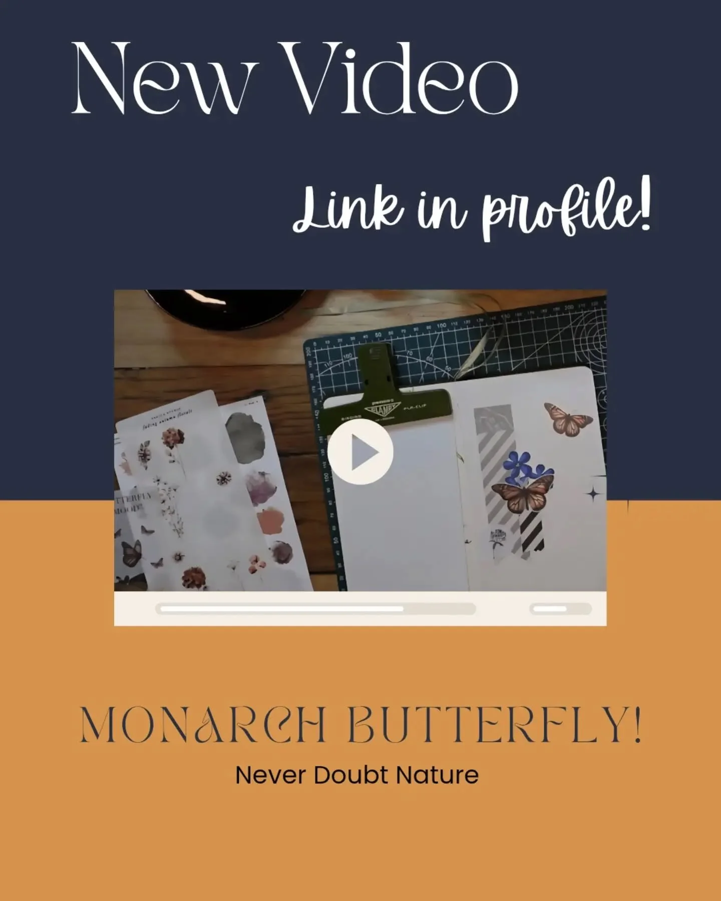New video up on our Youtube!

- never doubt nature

#neverdoubtnature #monarchbutterfly #wandererbutterfly