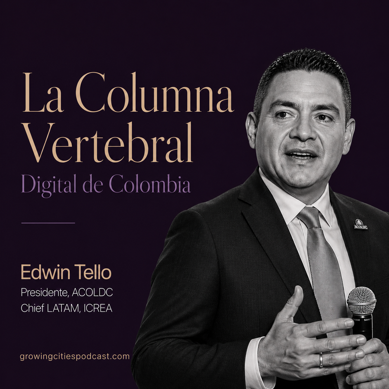 La Columna Vertebral Digital de Colombia  Colombia's Digital Backbone