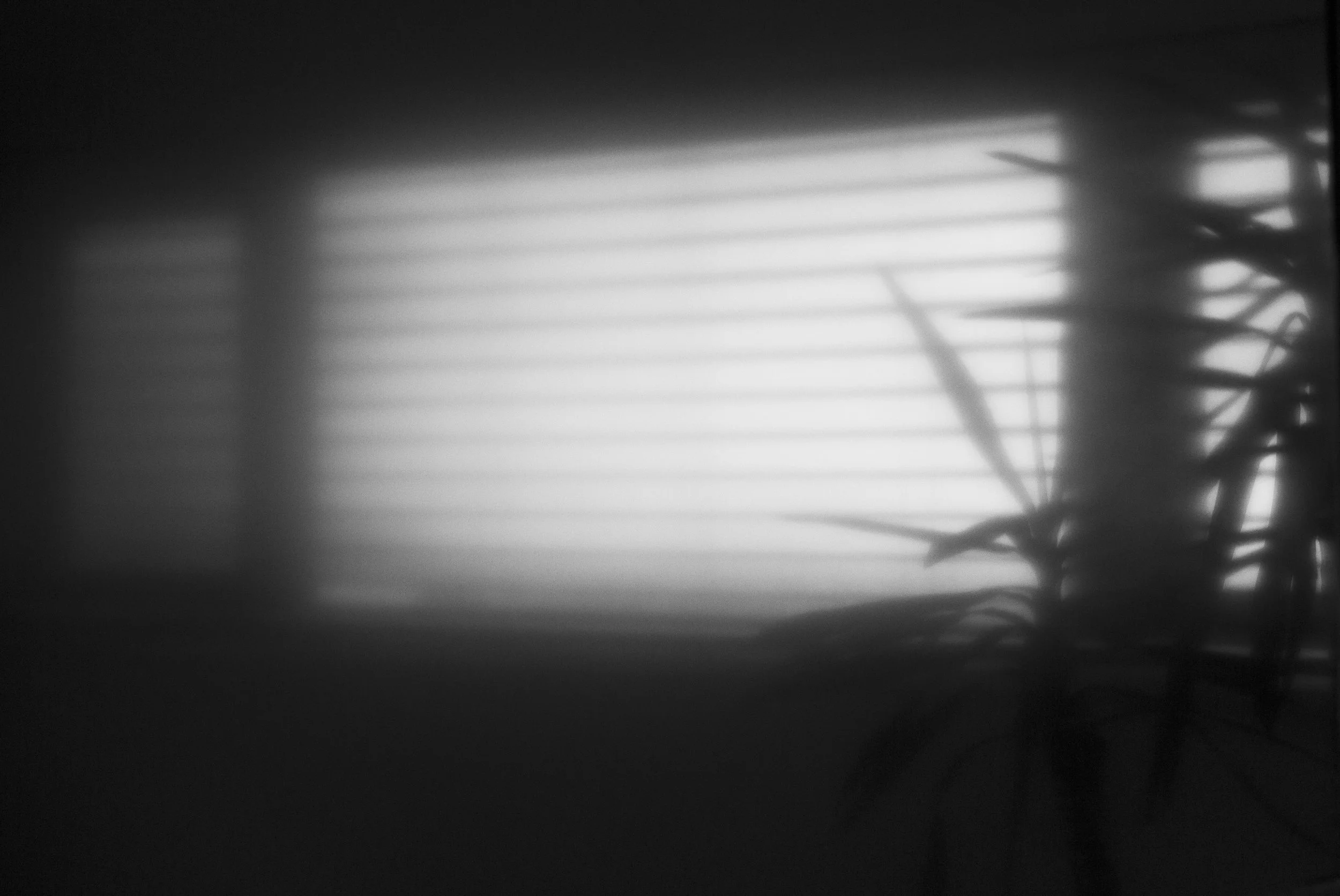 van man_2 - Copy.JPG