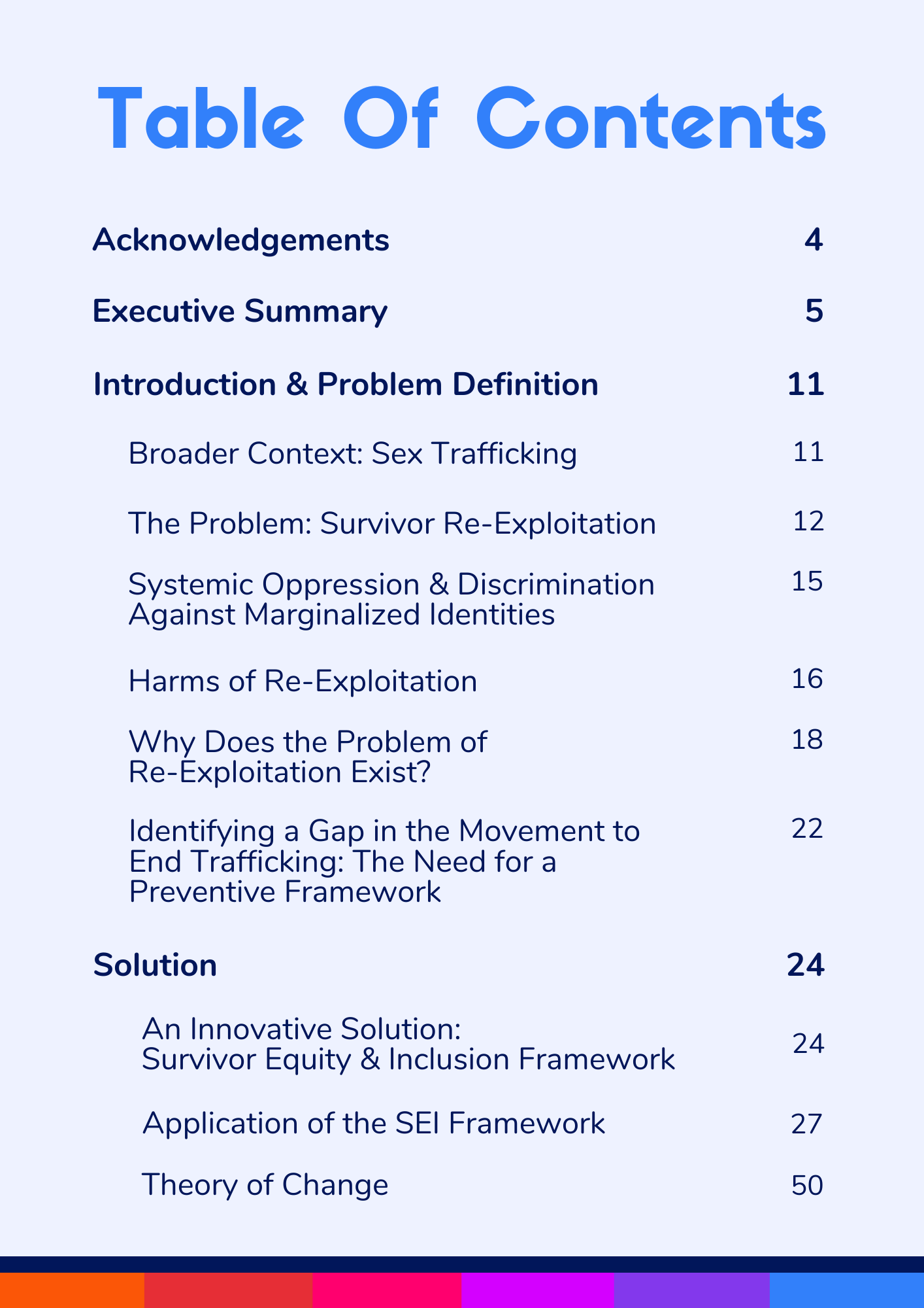 Survivor Equity and Inclusion Framework.png