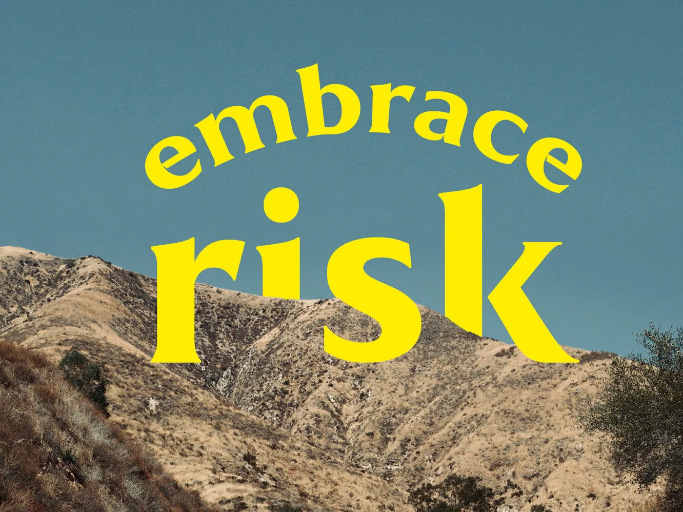 Embrace Risk<hr> <p>TYPOGRAPHY<p>