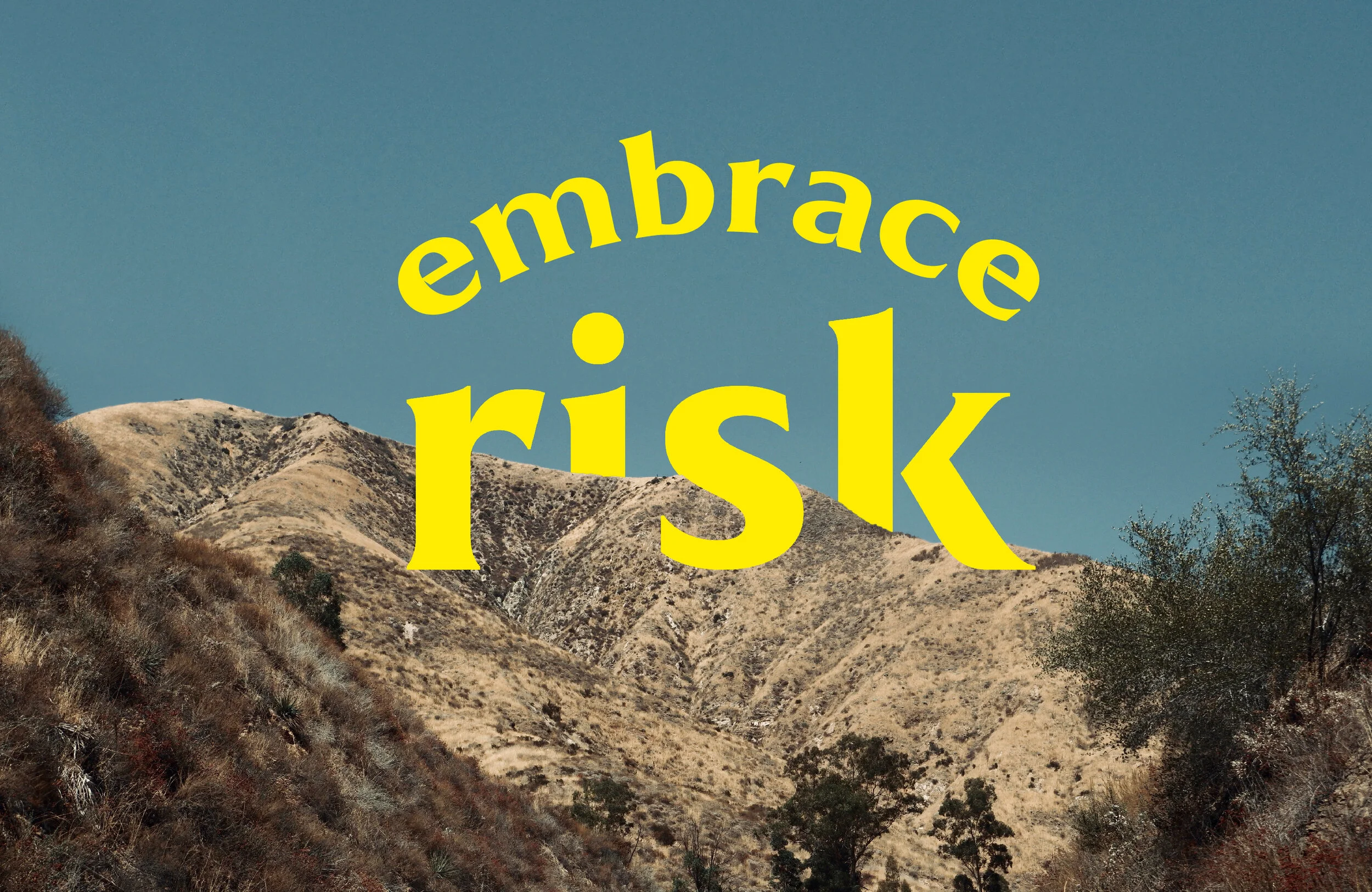 Embrace-Risk-2.jpg