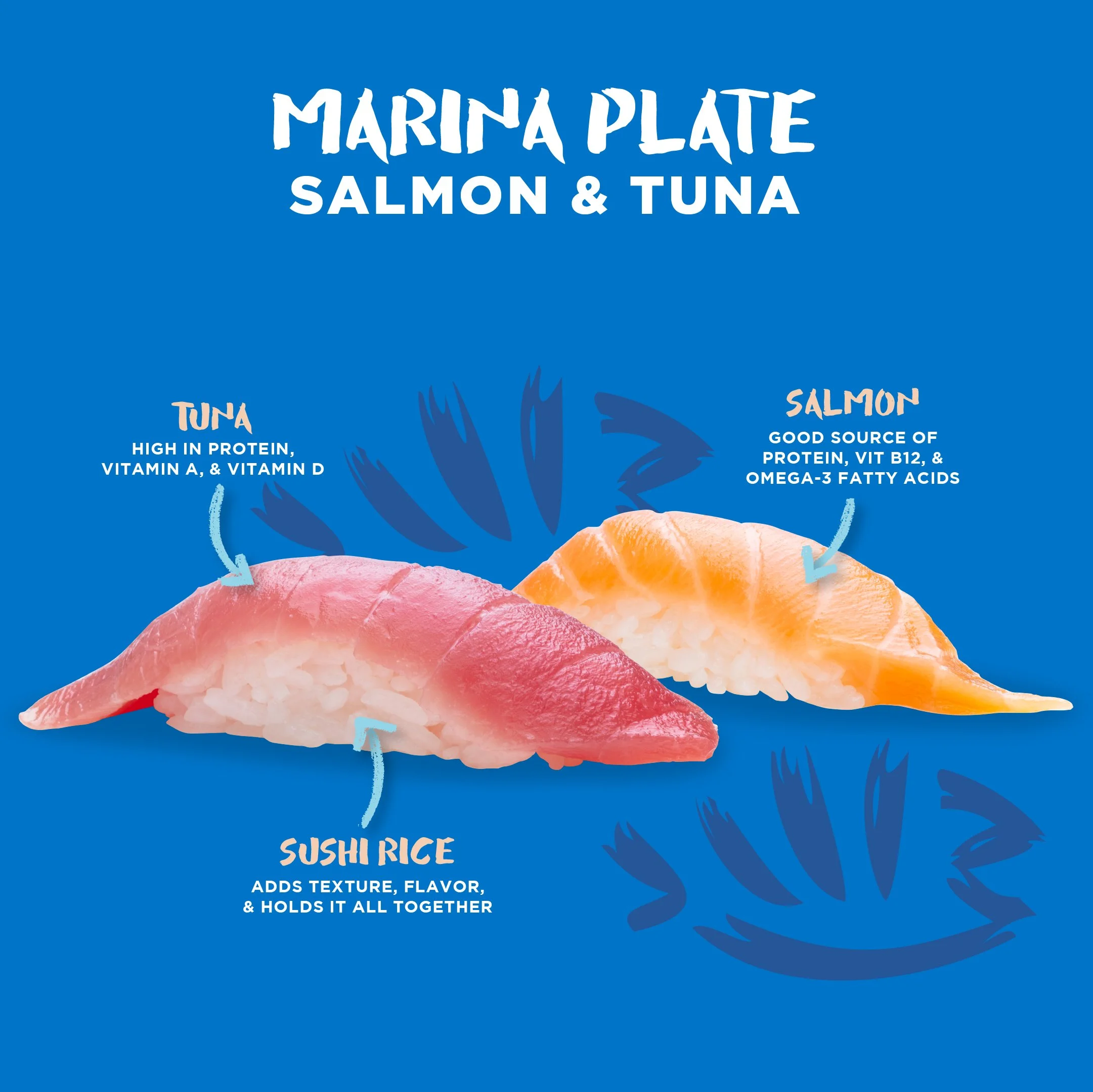 16 - Marina Plate Salmon & Tuna.jpg