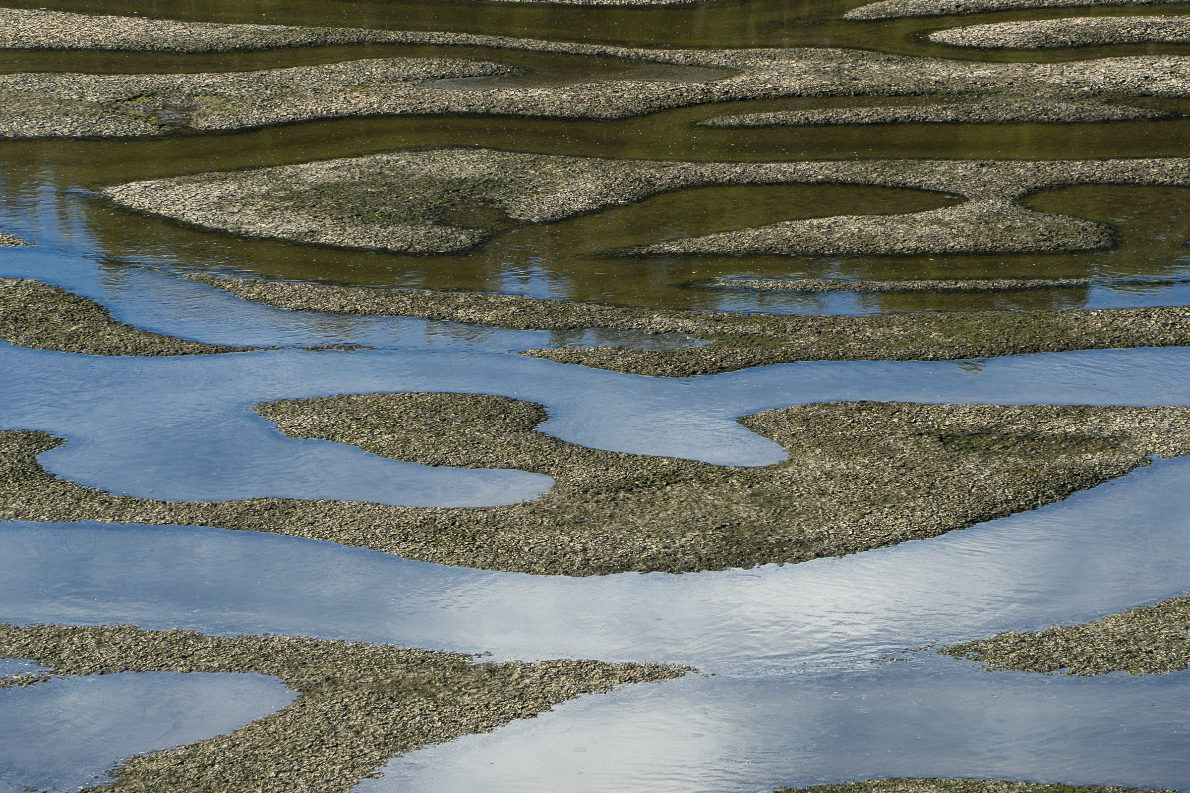 Drakes Estero Labyrinth