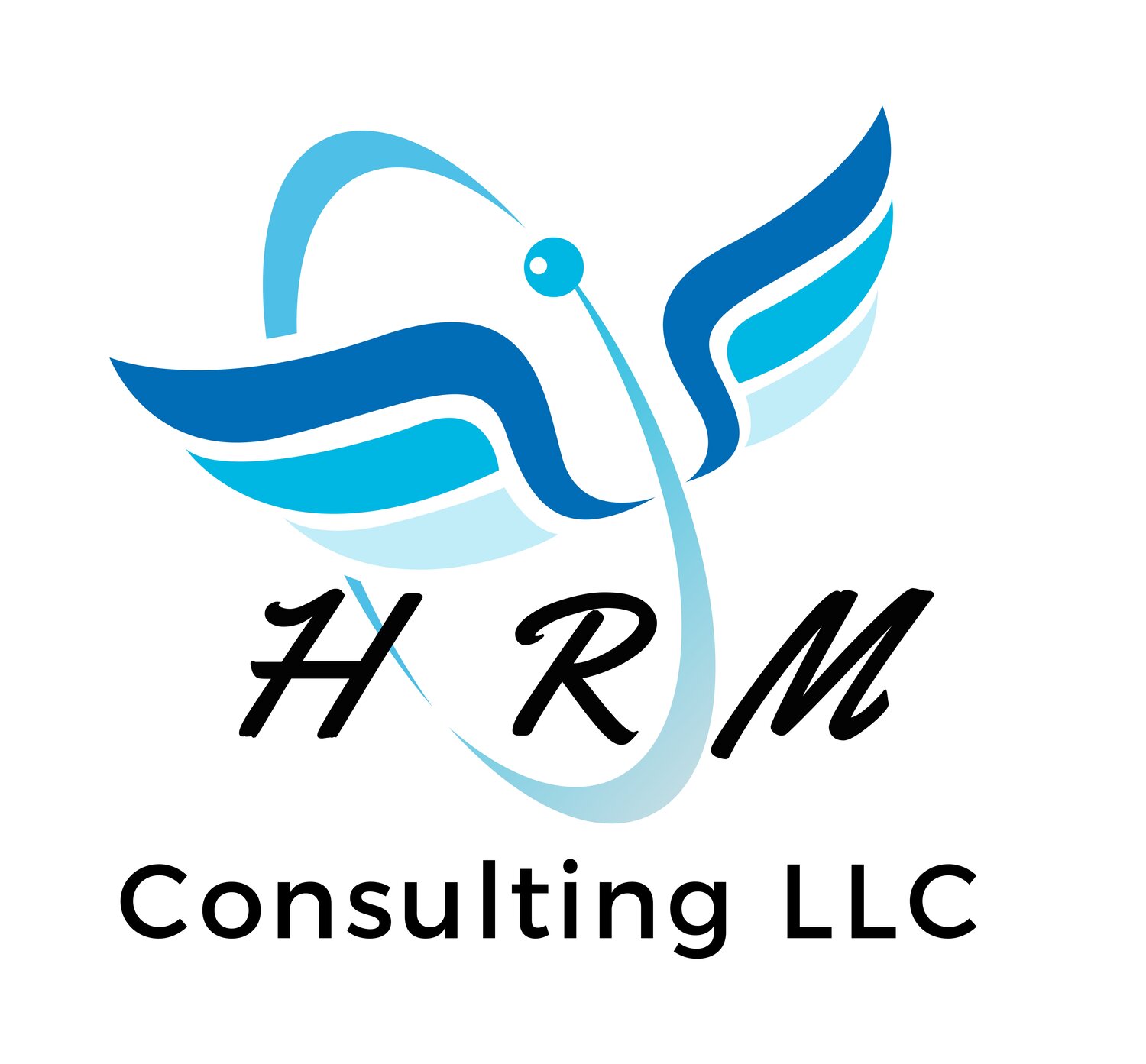 HRM Consulting LLC