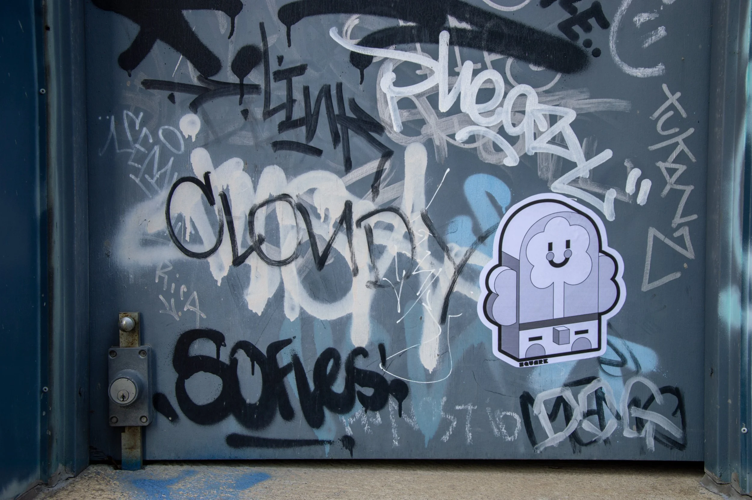 DSC_0051 copy.jpg
