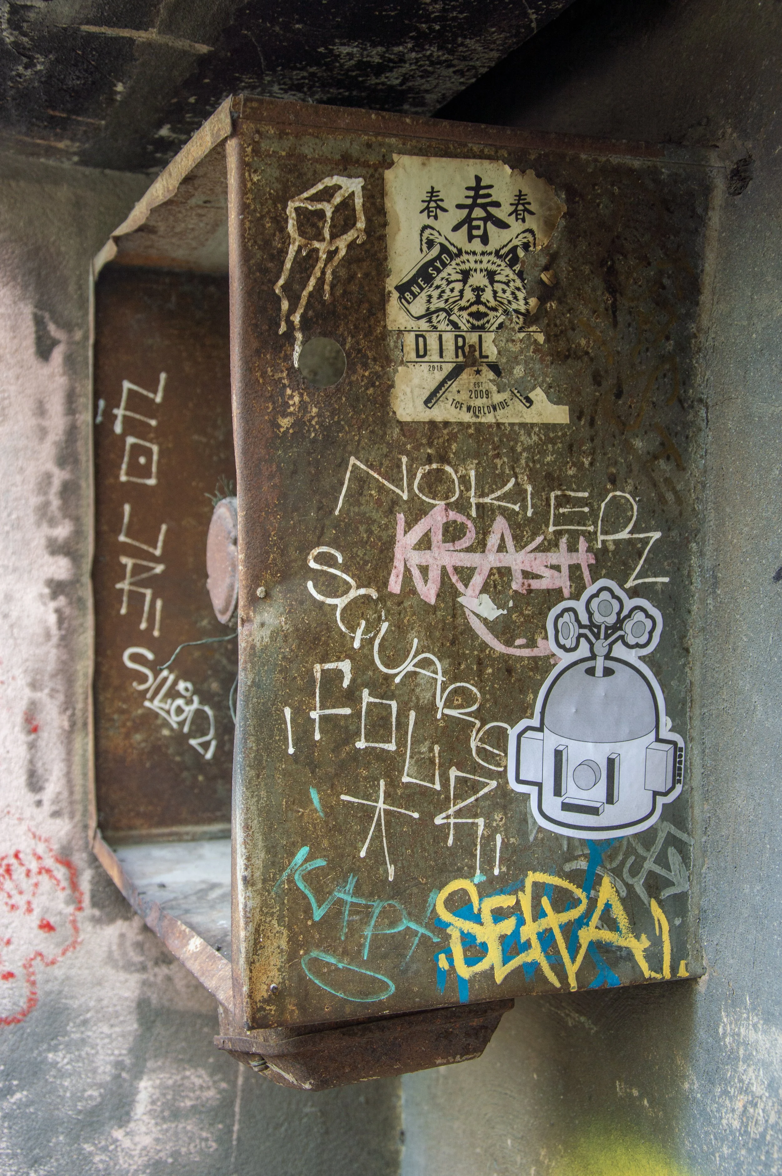 DSC_1402 copy.jpg