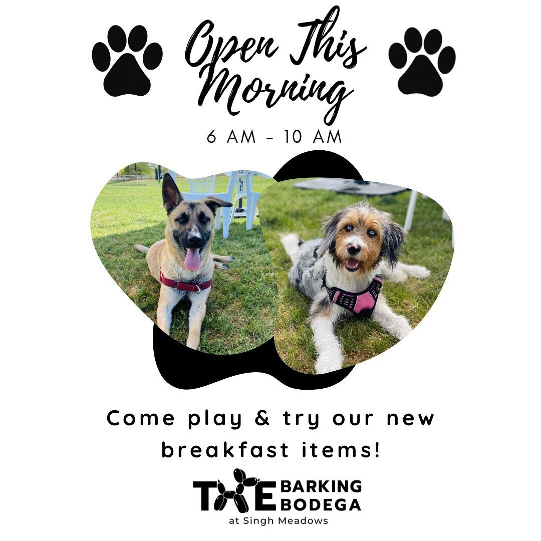 What a beautiful morning!

The Barking Bodega dog park and cafe are open this morning and serving some of the most amazing breakfast items around.

Dog park open till 10am
Cafe and property open till 2pm

Check out the full menu on our website. Theba