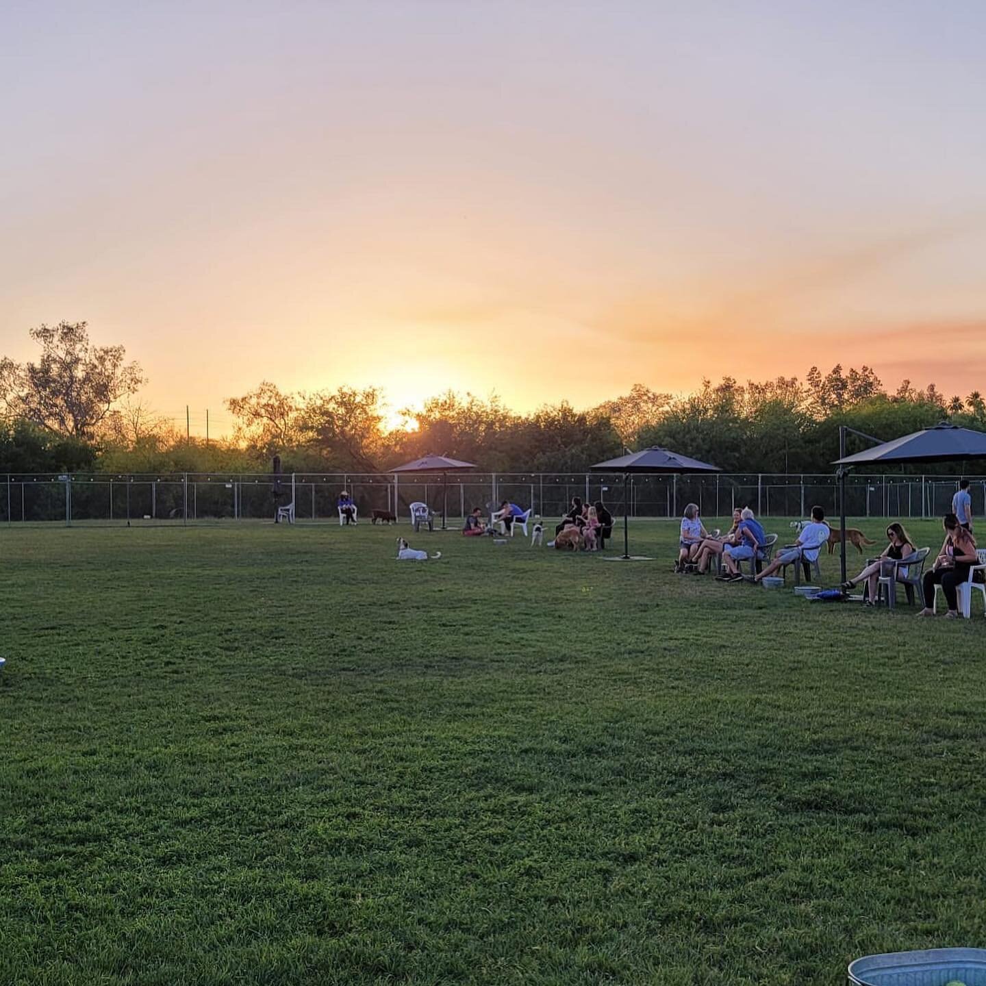 Dogs, sunsets, burgers and beer. Honestly...what&rsquo;s not to love! 

Come join us tonight! 6pm - 10pm. We have a bomb lineup of burgers! Choose from grass fed beef, portabella mushroom burger or a classic veggie patty. Pair it with a refreshing be