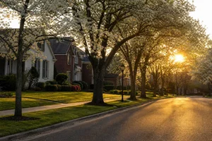 Benefits Central Mississippi Buyers Get From John Rea