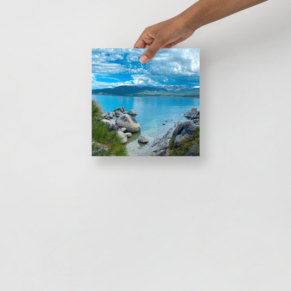 enhanced-matte-paper-poster-(in)-10x10-front-6112e65963e51.jpg