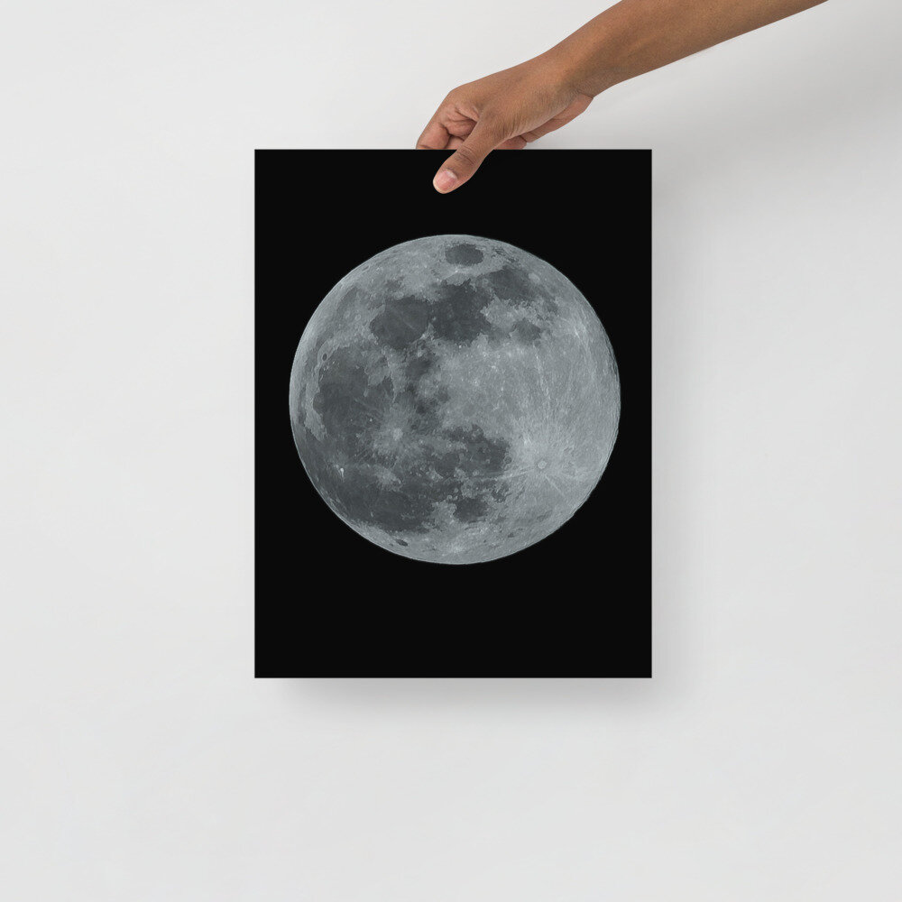 enhanced-matte-paper-poster-(in)-12x16-front-6112e8fa079ae.jpg