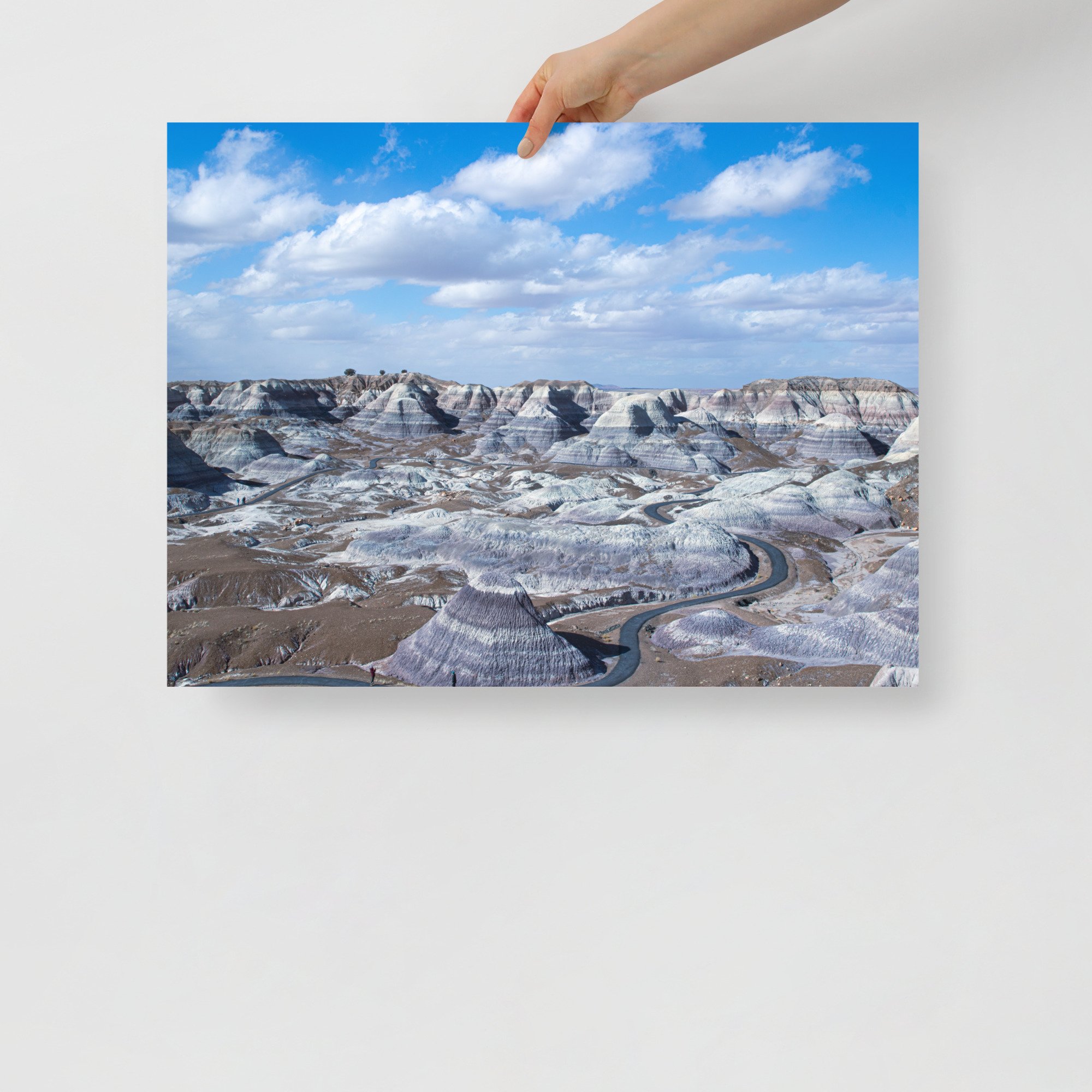 enhanced-matte-paper-poster-(in)-18x24-front-62fae7edc0ee0.jpg