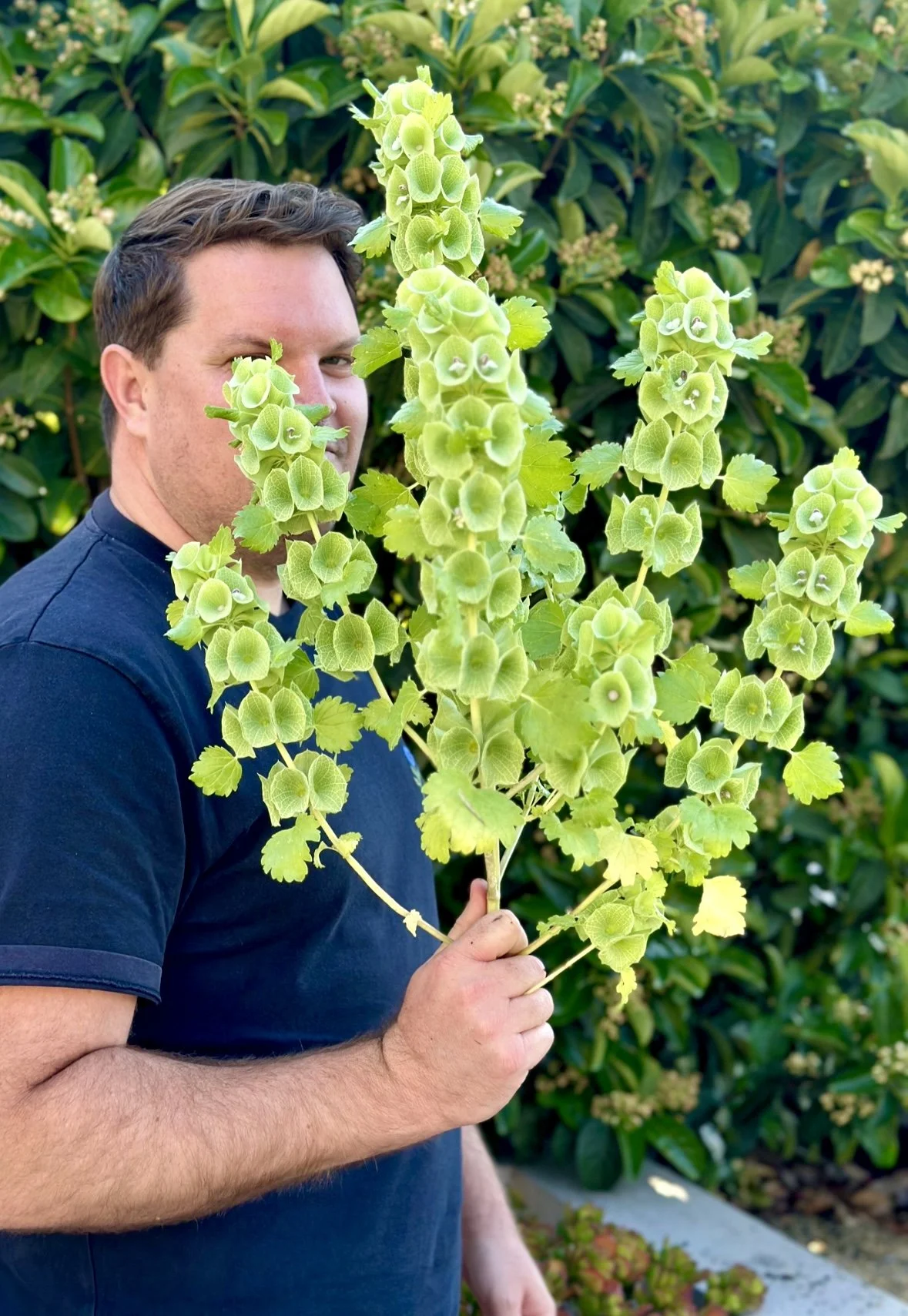 Fergie’s Bells Of Ireland Seeds Led To These Beauties! — Salisbury Grange
