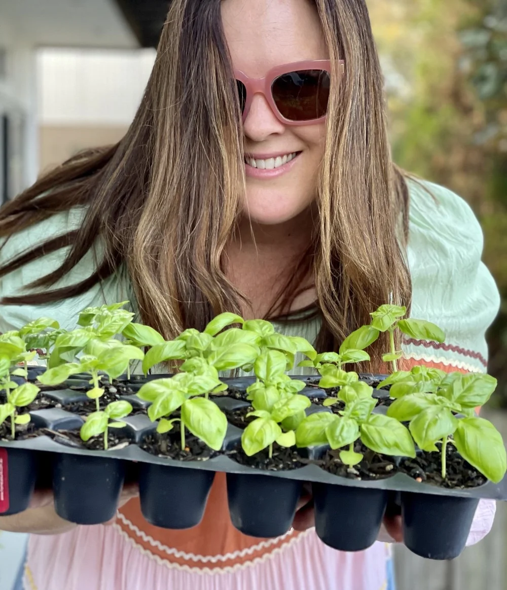 The Best Vegetables To Grow In Brisbane, Month By Month — Salisbury Grange