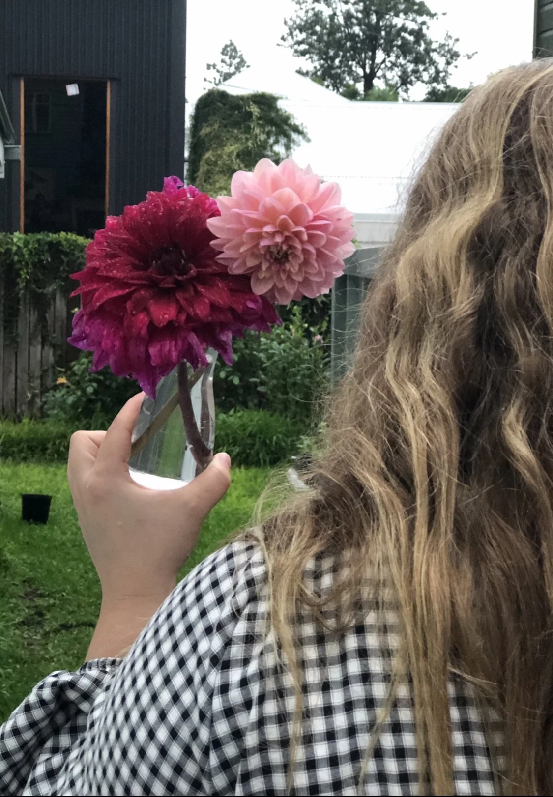 7 Tom's Dahlias in vase.jpg