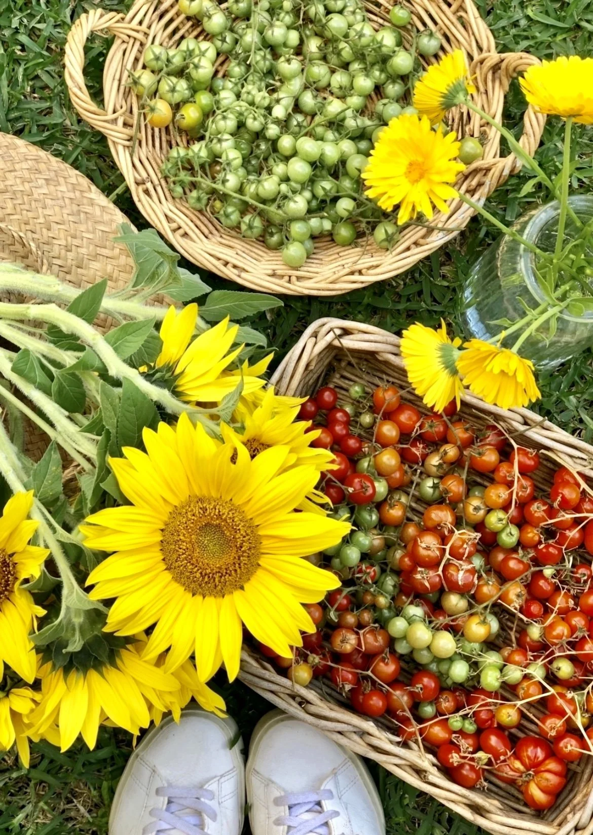 what is food security australia 2.jpg