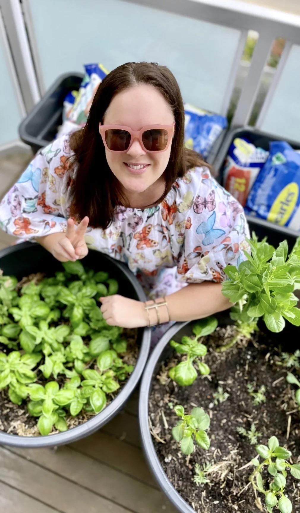 4 Tips For Growing Veggies In Raised Garden Beds In Brisbane