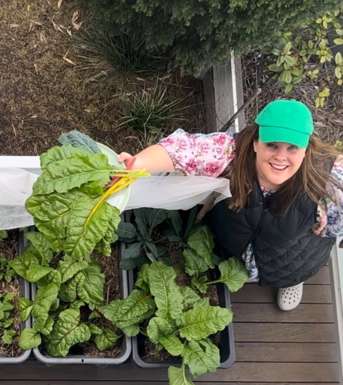 Growing Chard In Brisbane: A Quick Guide