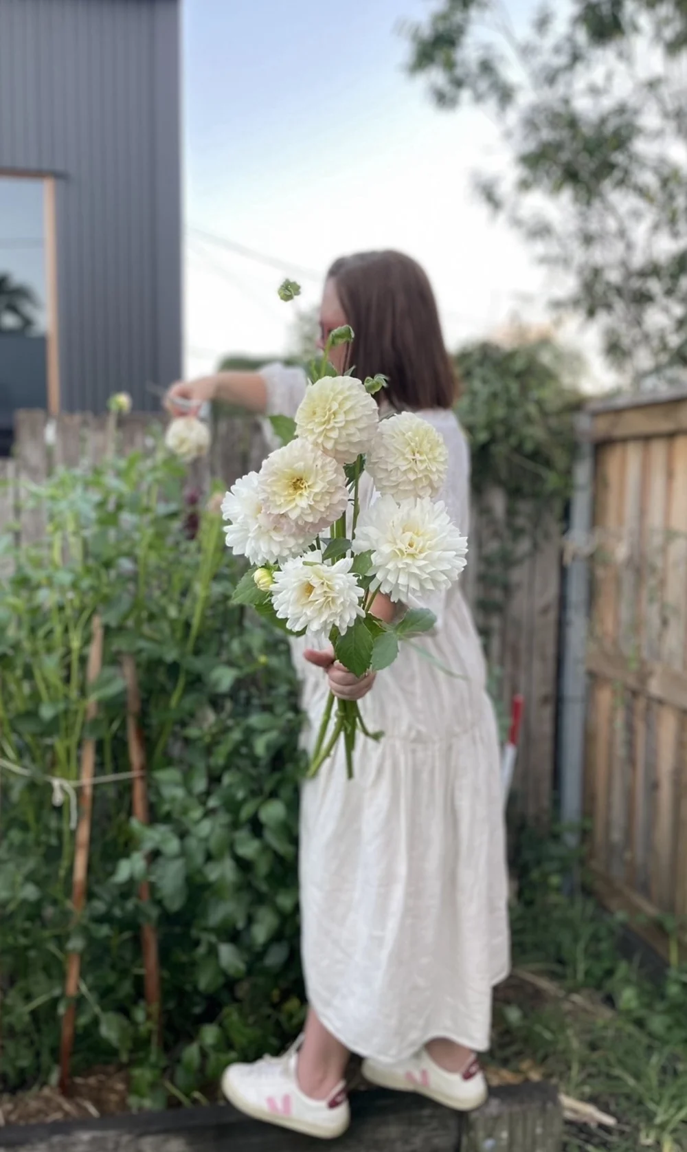 About — Salisbury Grange