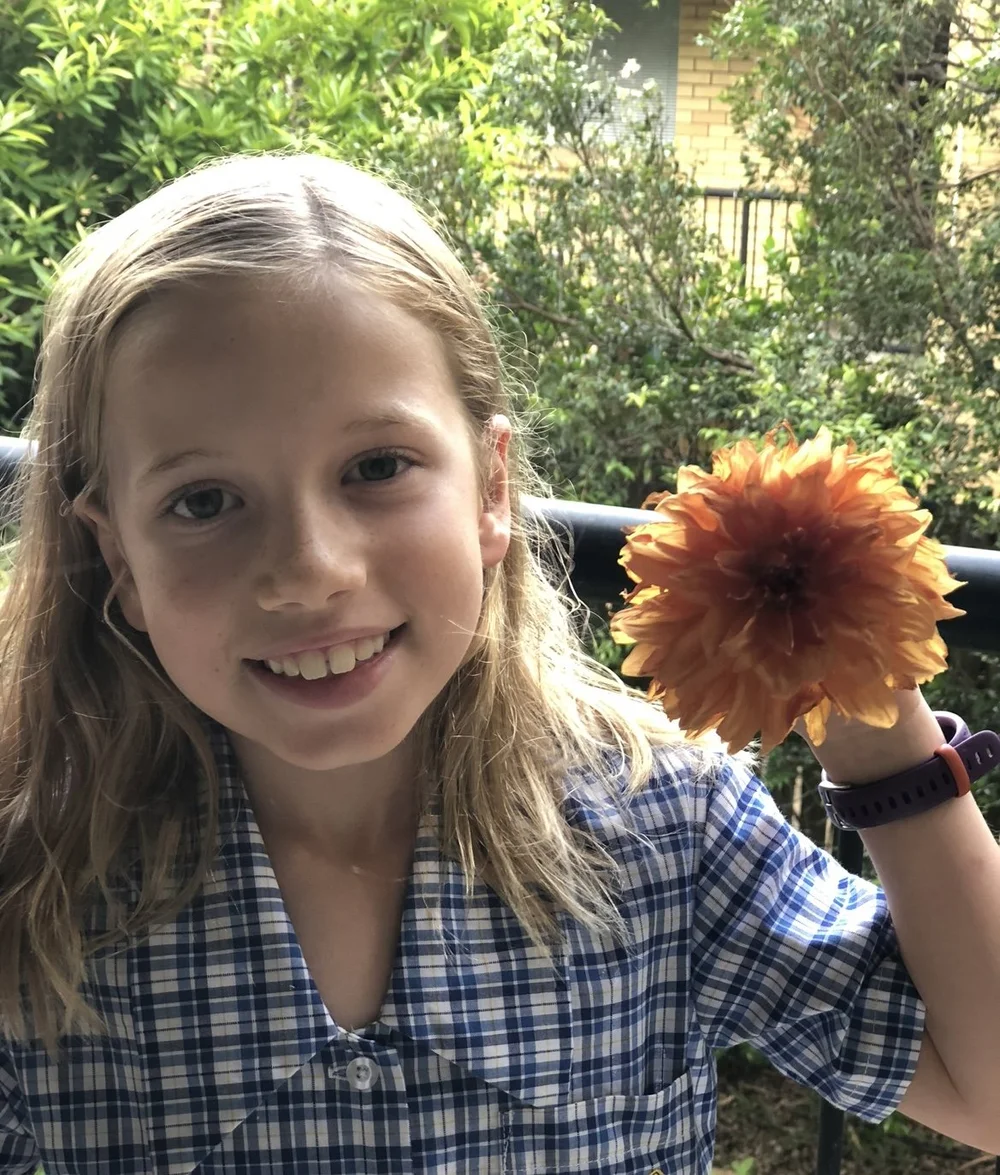 4 School Garden Projects To Do In Brisbane Term By Term Salisbury Grange 4-school-garden-projects-to-do-in-brisbane-term-by-term-salisbury-grange