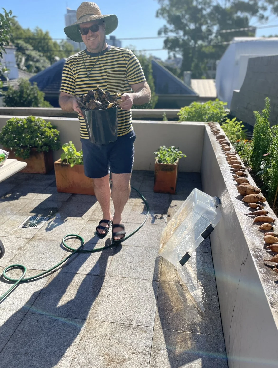 what to grow now sydney.jpg