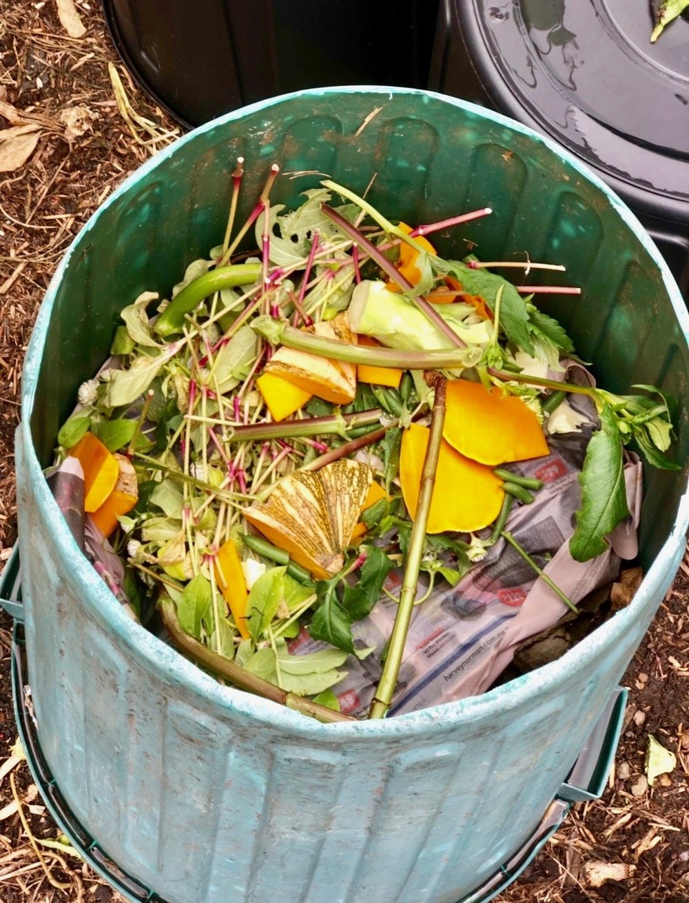 What Can You Put In A Compost Bin — Salisbury Grange