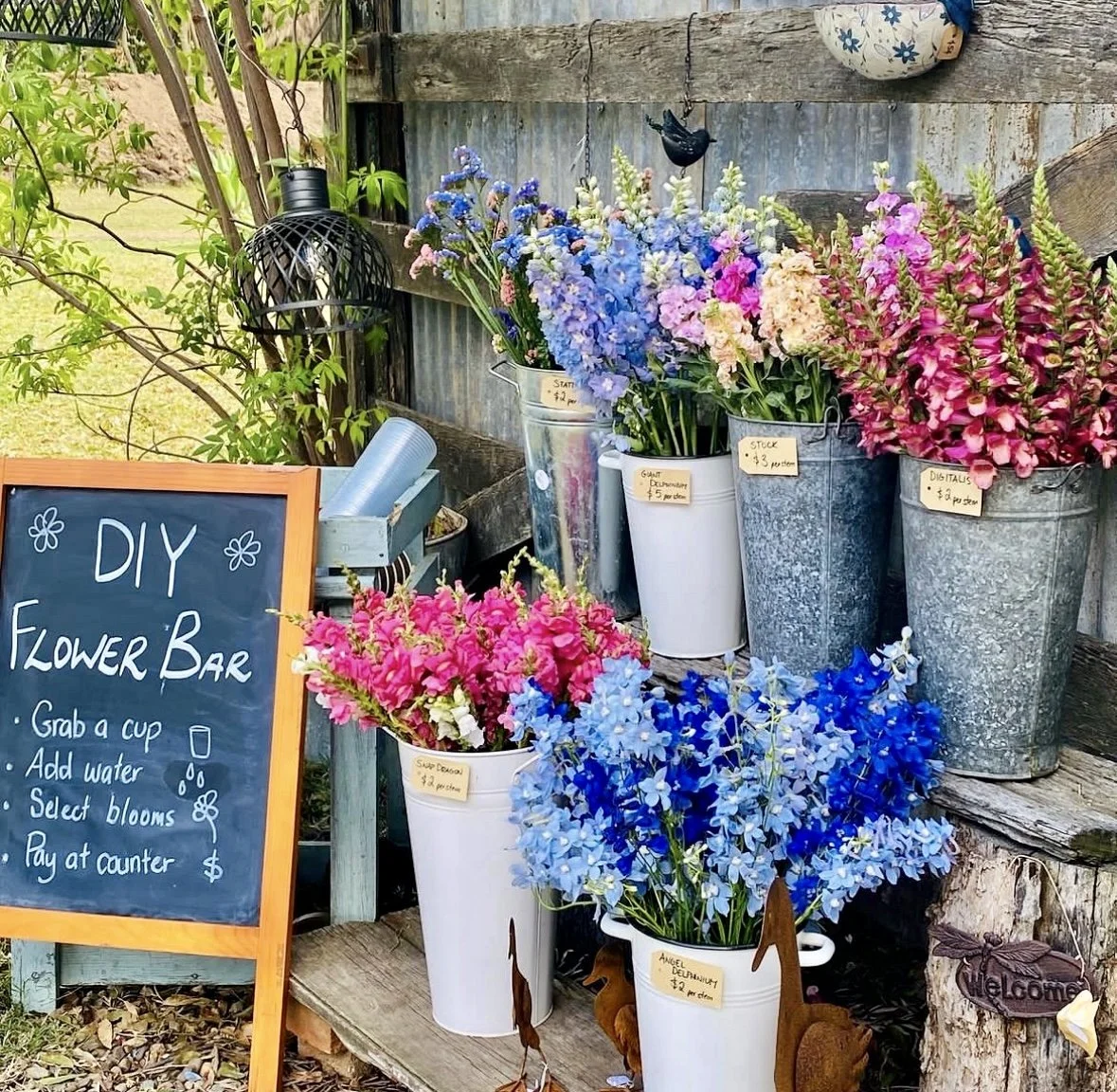 4 Flower Farms To Visit Near Brisbane (And Buy Flowers From